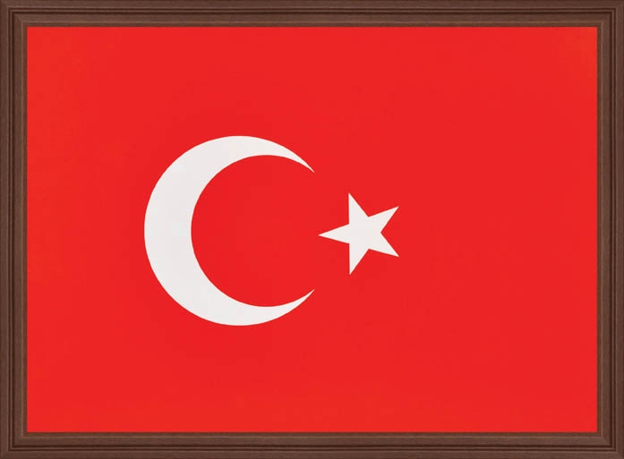 Türk Bayrağı